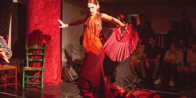 Centro Flamenco El Duende De La Sole 