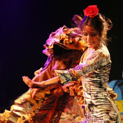 Flamenco Barcelona SL

